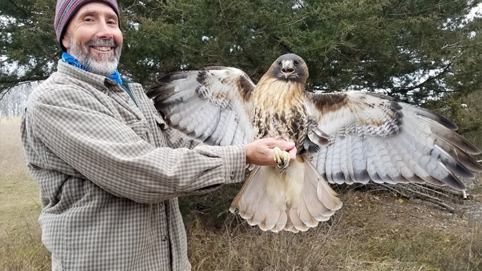 What kind of raptor is Dave Kester holding?