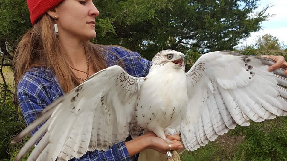 What kind of raptor is Sophia holding?